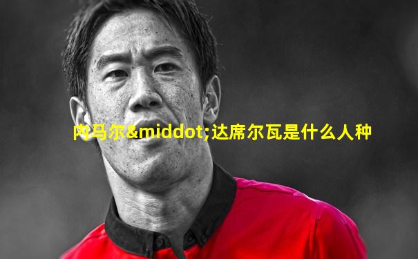 内马尔·达席尔瓦是什么人种