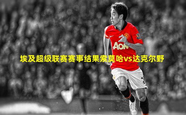 埃及超级联赛赛事结果索莫哈vs达克尔野