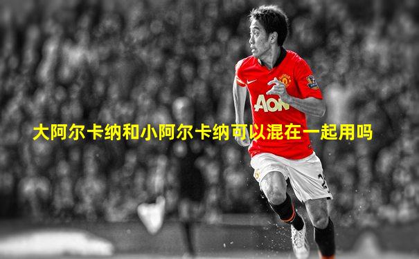 大阿尔卡纳和小阿尔卡纳可以混在一起用吗