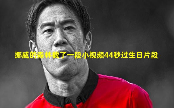挪威的森林截了一段小视频44秒过生日片段