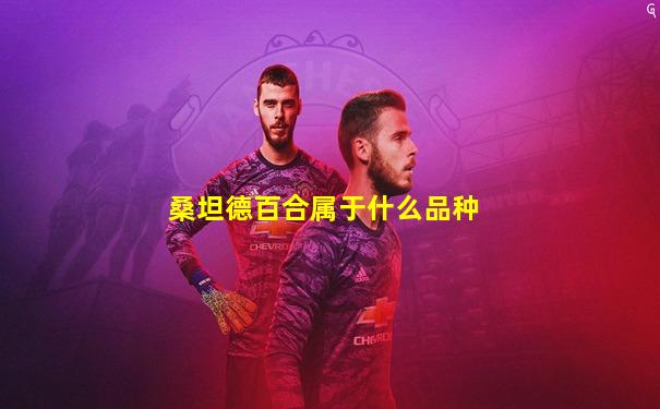 桑坦德百合属于什么品种