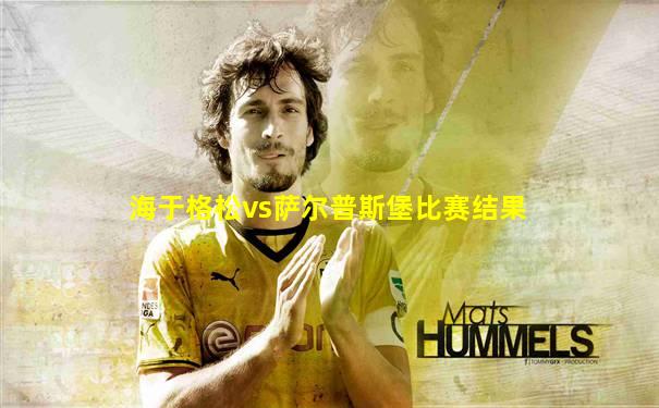 海于格松vs萨尔普斯堡比赛结果
