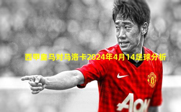 西甲皇马对马洛卡2024年4月14足球分析