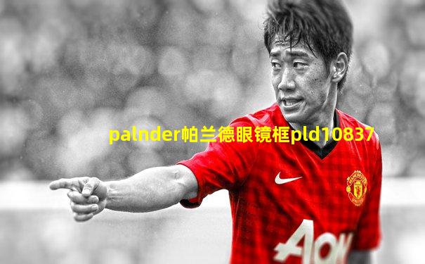 palnder帕兰德眼镜框pld10837