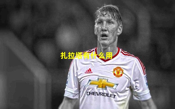 扎拉塔有什么用
