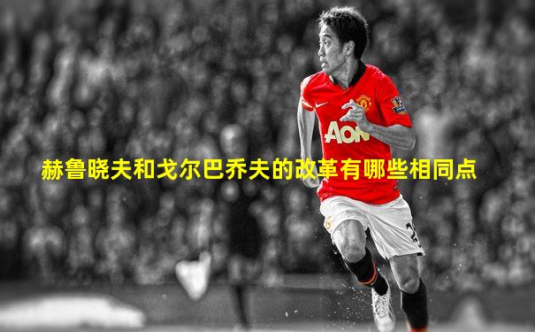 赫鲁晓夫和戈尔巴乔夫的改革有哪些相同点