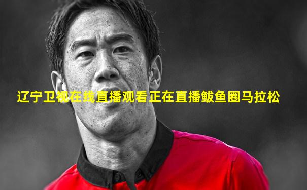 辽宁卫视在线直播观看正在直播鲅鱼圈马拉松