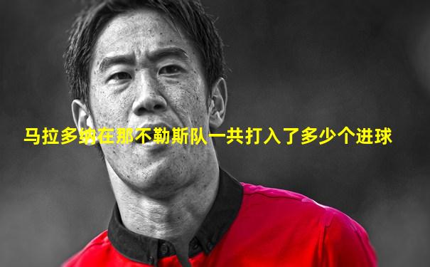 马拉多纳在那不勒斯队一共打入了多少个进球